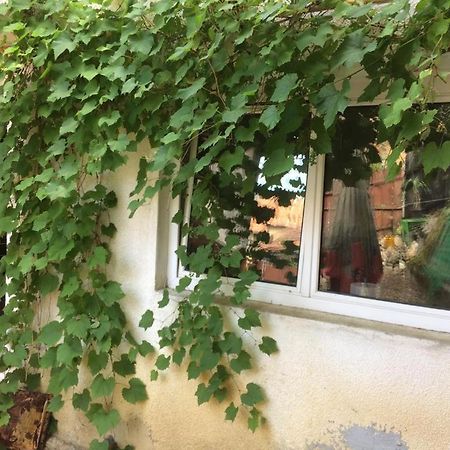 Casa Cu Curte Hotel Brassó Kültér fotó
