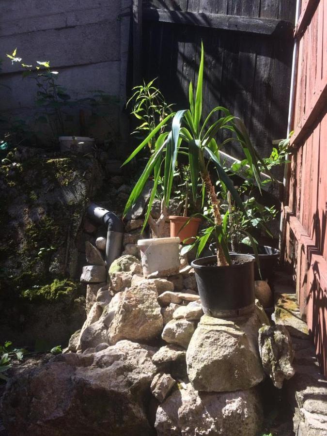 Casa Cu Curte Hotel Brassó Kültér fotó